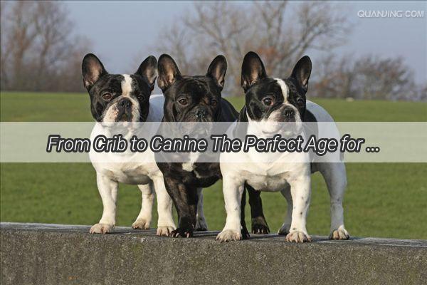 From Crib to Canine The Perfect Age for Kids to Meet Mans Best Friend